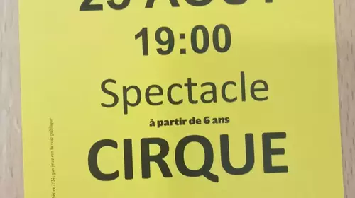 Spectacle CIRQUE 